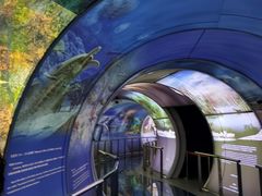 -房山世界地质公园博物馆