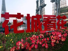 -海心沙亚运公园