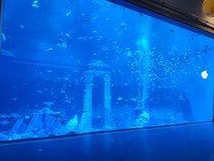 -南昌融创海世界