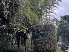 -安徽八里河旅游区