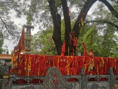 -大槐树寻根祭祖园