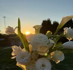 -城市花园婚纱摄影