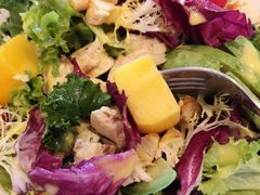 牛油果芒果鸡肉色拉-Bco豆库(星耀天地店)