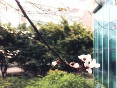 -西南政法大学(渝北校区)