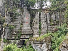 -梭布垭石林景区