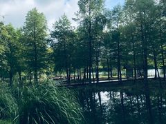 -梁鸿国家湿地公园