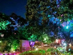 -爵士花园音乐酒吧餐厅