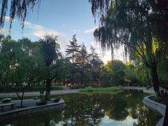 -西安市长乐公园