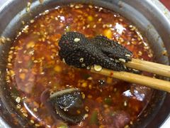 毛肚-丹妹麻辣烫(袁家岭20year店)