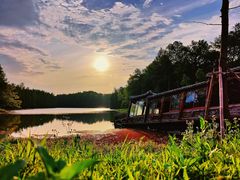 -上海海湾国家森林公园