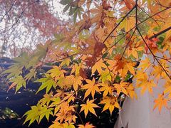 -仲盛世界商城