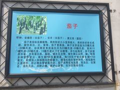 -万源龙顺度假庄园生态观光园