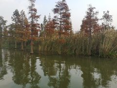 -梁鸿国家湿地公园