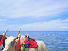 -青海湖国家重点风景名胜区