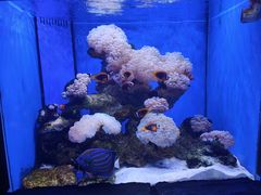 -多彩贵州城极地海洋世界