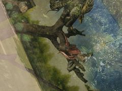 -贵州森林野生动物园