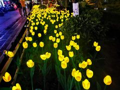 -靖西锦绣古镇景区