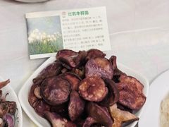 -太婆天府山珍酒楼(亚运村店)