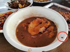 -双新垂钓园