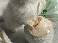 -爱侣宠医·鹦鹉专科·小型哺乳类·异宠专科(灵石路店)