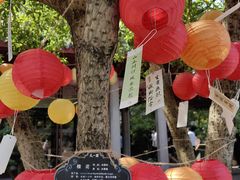 -天一阁博物院
