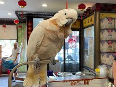 -四海楼(如皋定慧禅寺店)