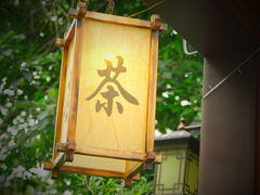 -海珠湖公园