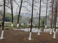 -重庆彩云湖湿地公园
