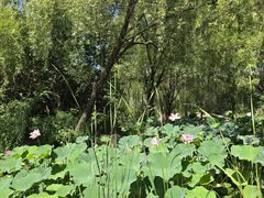 -郑州植物园
