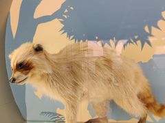 -陕西自然博物馆