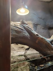 -Zoolung Zoolung动物主题公园(海信广场店)