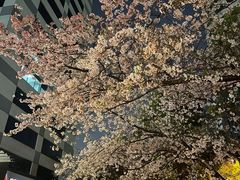 -玛格萝妮比萨屋(四平店)