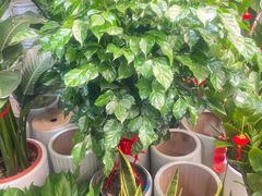 -瑞幸咖啡(天安数码城店)