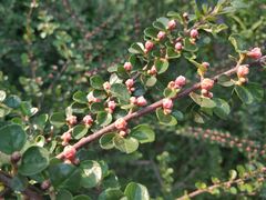 -廊坊文化艺术中心