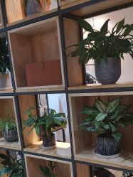 -曼都发型·臻选