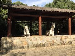 -白马涧龙池景区