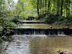 -桤木河湿地公园