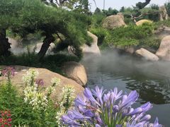 -罗红摄影艺术馆