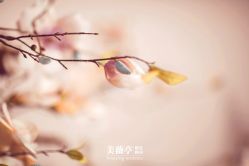 点击看大图 -美薇亭婚礼顾问