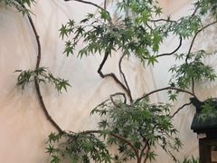 -耳艺采耳·足疗·按摩SPA(市桥店)