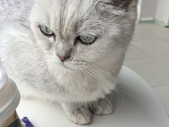 -怪兽屋·羊驼·猫咖·狗咖(俊华广场店)