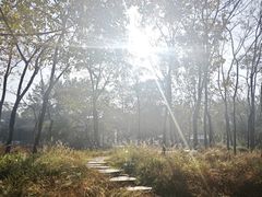 -木守西溪溪隐餐厅