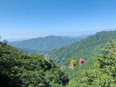 -朱雀国家森林公园