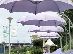 -光明港公园