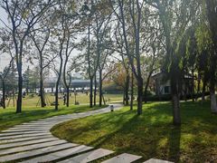 -咸阳湖景区-古渡公园