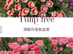 -南山植物园