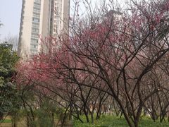 -木塔寺遗址生态公园
