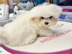-FAELING PETS美天灵宠物(富力广场店)