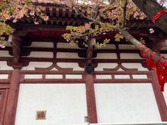 -西安青龙寺遗址景区