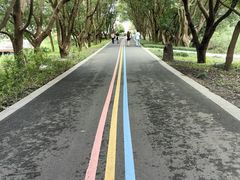 -同里国家湿地公园